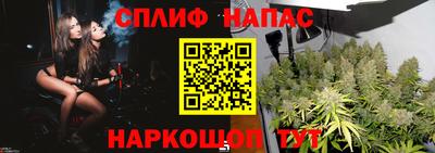 дмт Пушкино