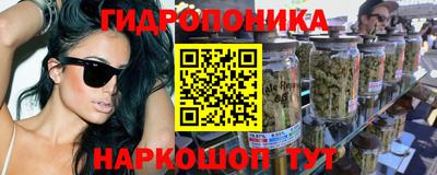 дмт Пушкино