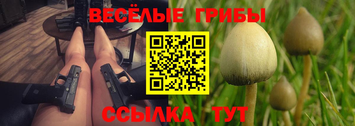 Псилоцибиновые грибы Cubensis  хочу   Псилоцибиновые грибы MAGIC MUSHROOMS  Петропавловск-Камчатский  Вход с VPN 